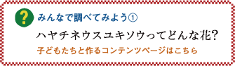 みんなで調べてみよう1「ハヤチネウスユキソウってどんな花？」