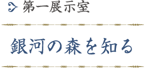 第一展示室「銀河の森を知る」